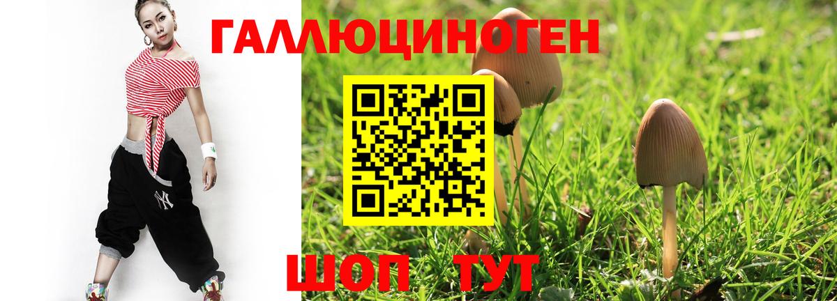 Псилоцибиновые грибы мицелий Трёхгорный