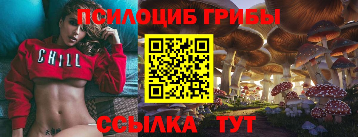 Псилоцибиновые грибы мицелий  Вход с VPN  Трёхгорный 